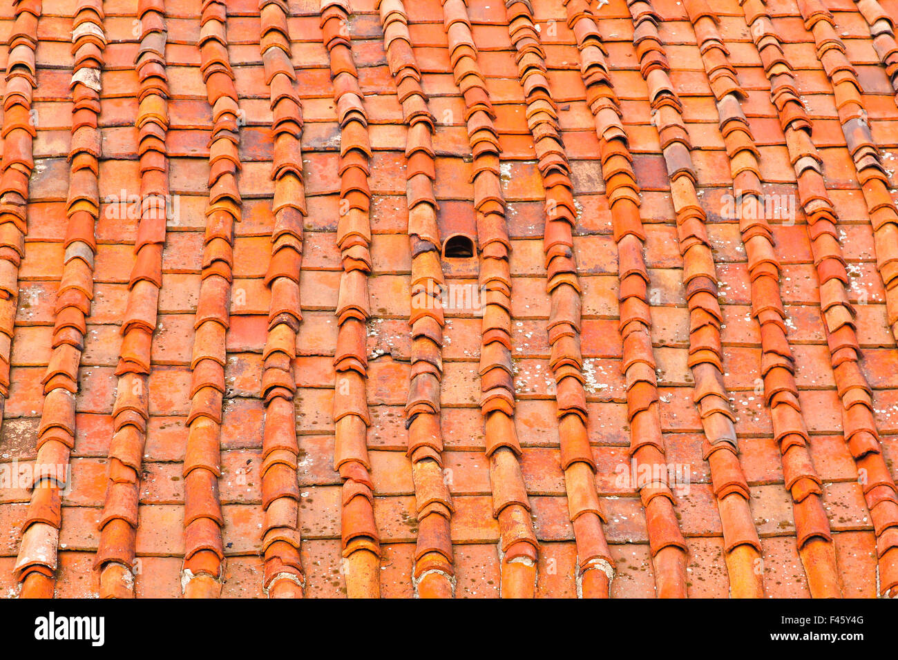 Florenz-Dach Stockfoto