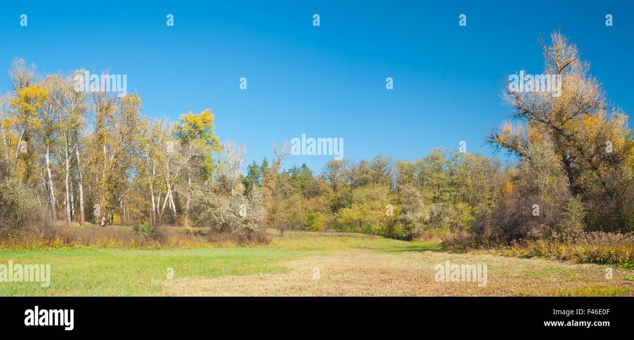 Weite Landschaft mit Wasser Wiese in der Zentralukraine am herbstlichen Saison Stockfoto