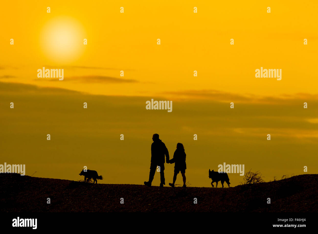 Hundebesitzer, die Silhouette gegen gelben Himmel. Cley Bank, Norfolk, September. Stockfoto