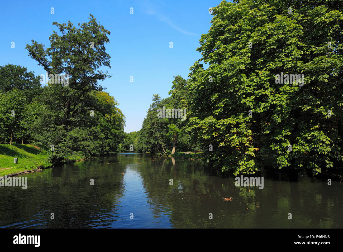 Englischer Landschaftsgarten, Schlosspark Und Stadtgraben in Moers, Niederrhein, Nordrhein-Westfalen Stockfoto