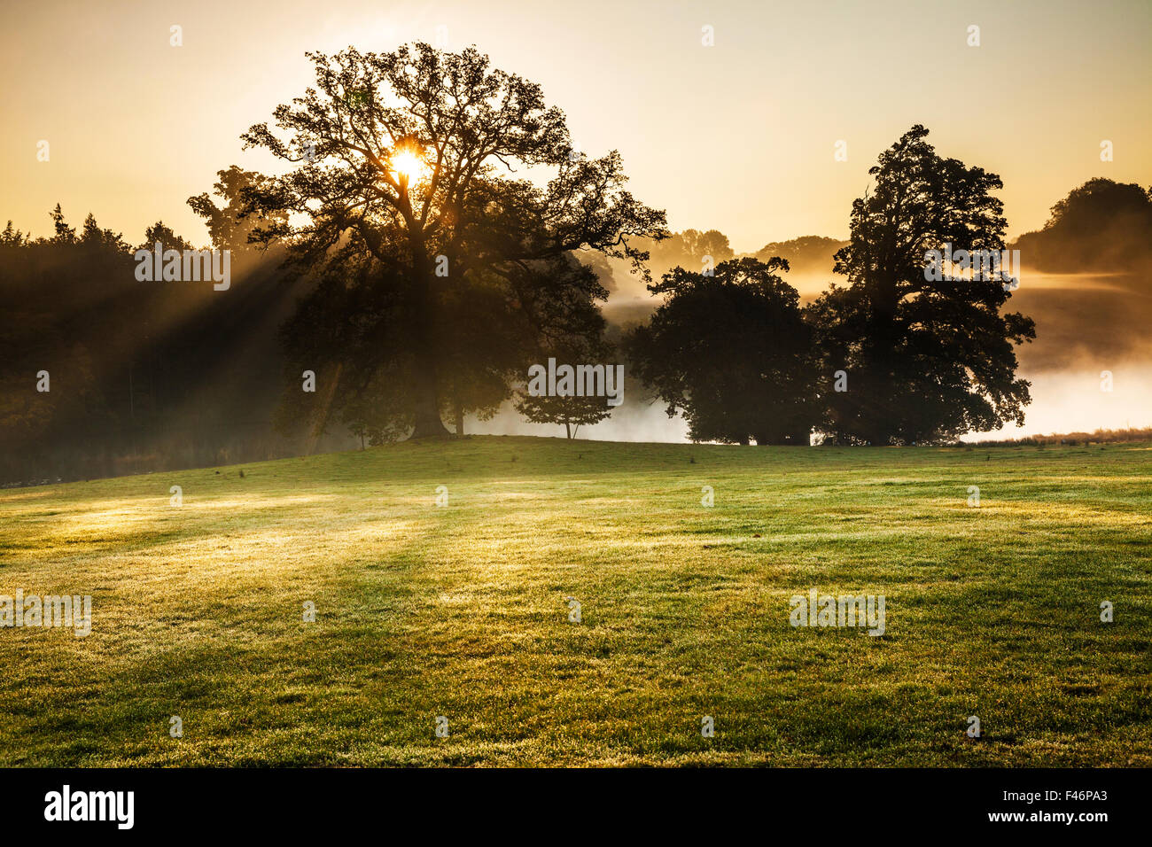 Die Parklandschaft auf dem Bowood Anwesen in Wiltshire im Herbst. Stockfoto