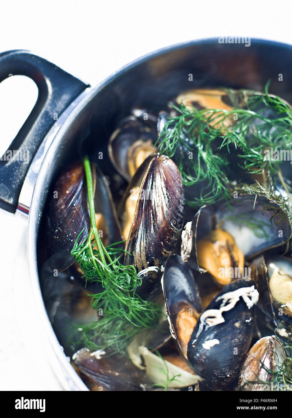 Meer-Muscheln in einen Topf geben, Schweden. Stockfoto