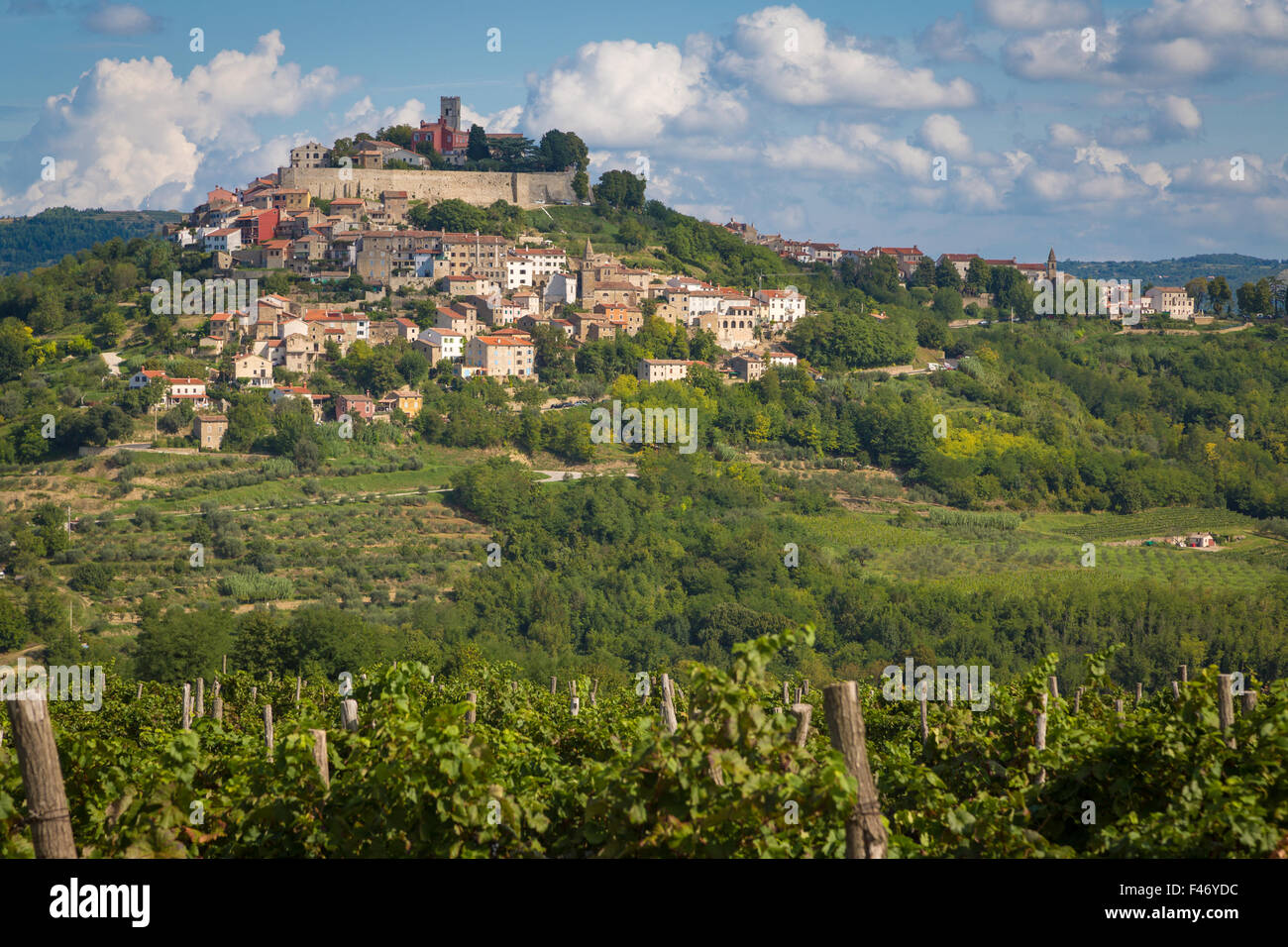 Idyllischen Dorf am Hügel mit venezianischen Festung, Weinreben in Front, Motovun, Istrien, Kroatien Stockfoto