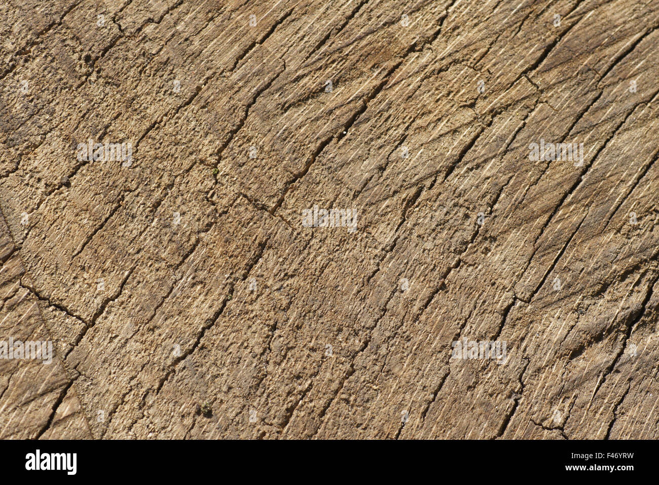 Braune Farbe, Holz Stockfoto