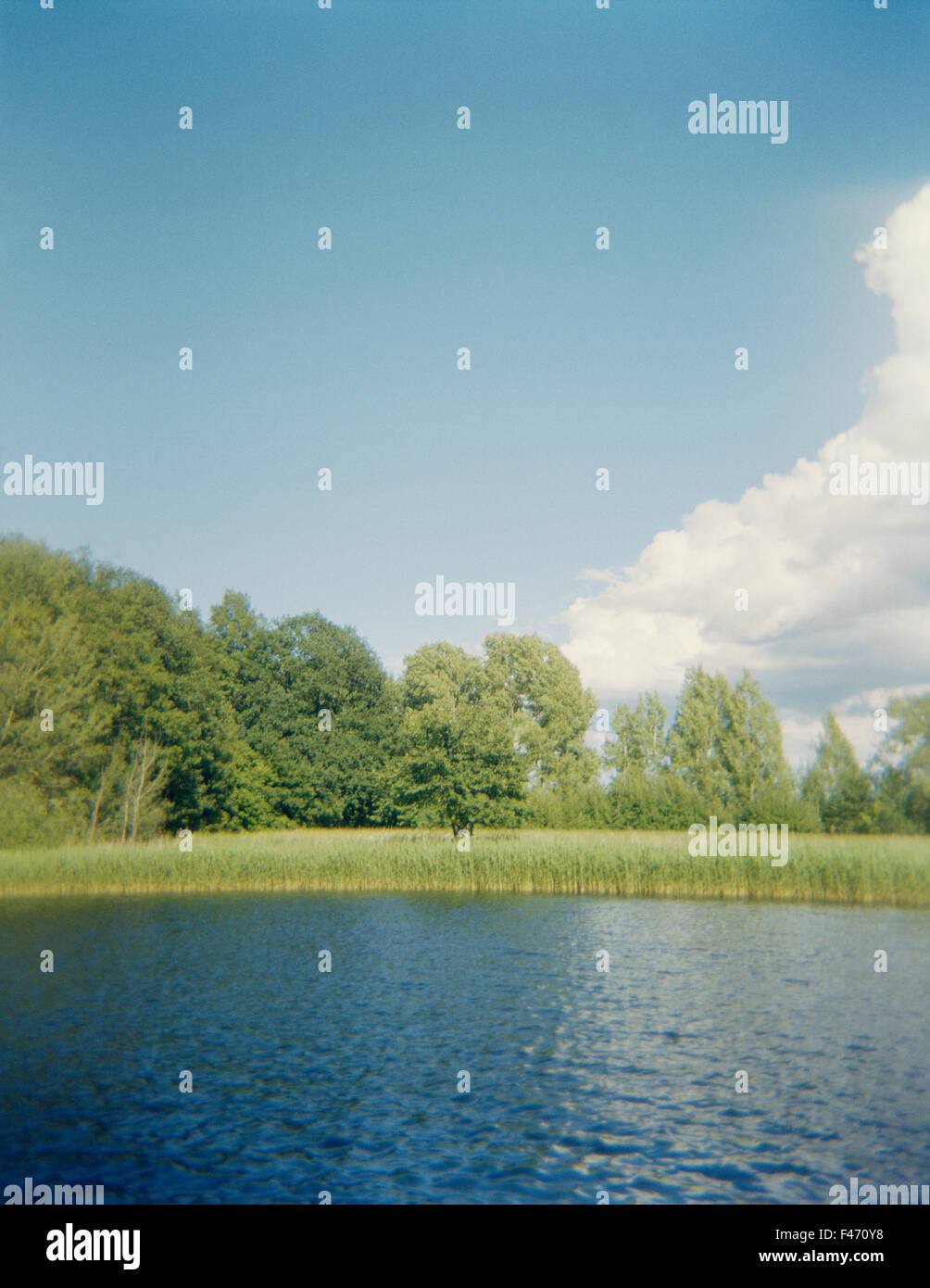 Weiße Wolken am blauen Himmel über einem Waldsee, Schweden. Stockfoto