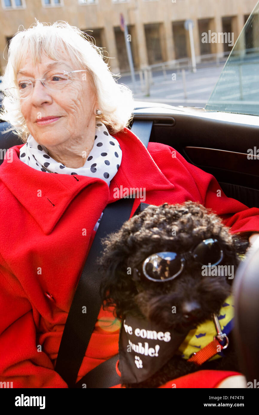 Eine Frau und ein Hund in einem Auto, Berlin, Deutschland. Stockfoto