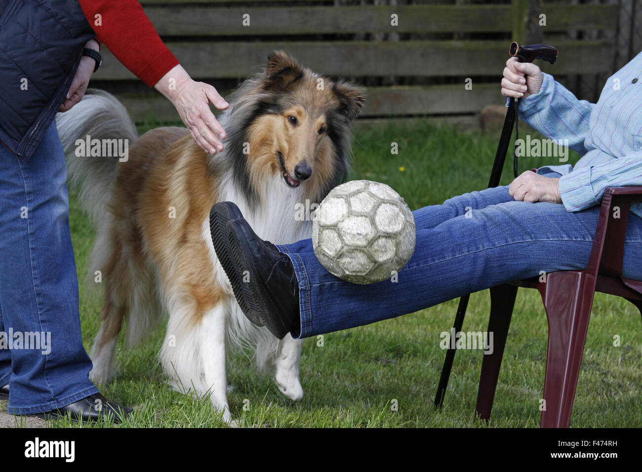 Tier-Assissted Therapie Stockfoto