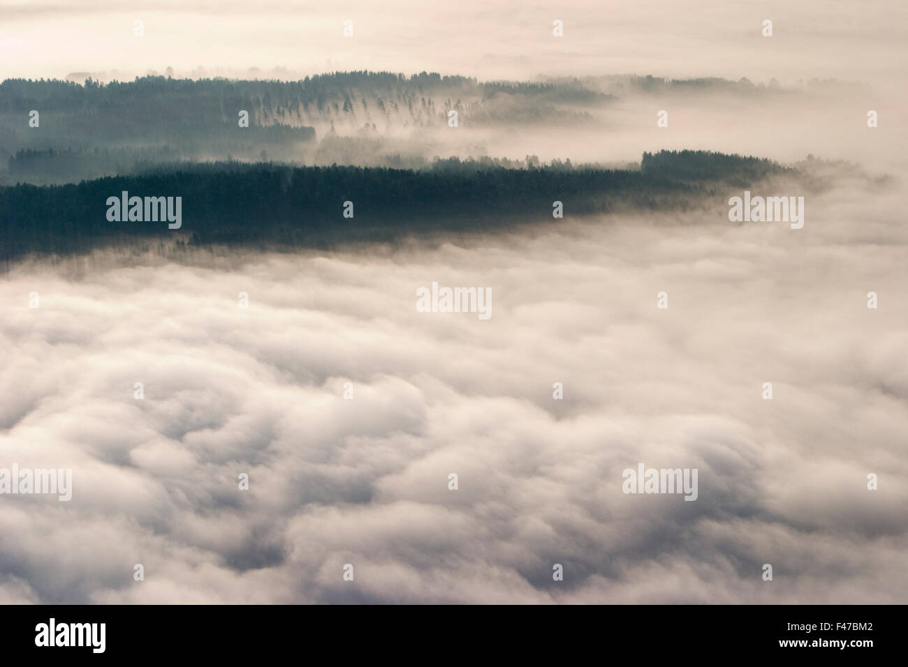 Luftaufnahme von einem nebligen Waldlandschaft, Schweden. Stockfoto