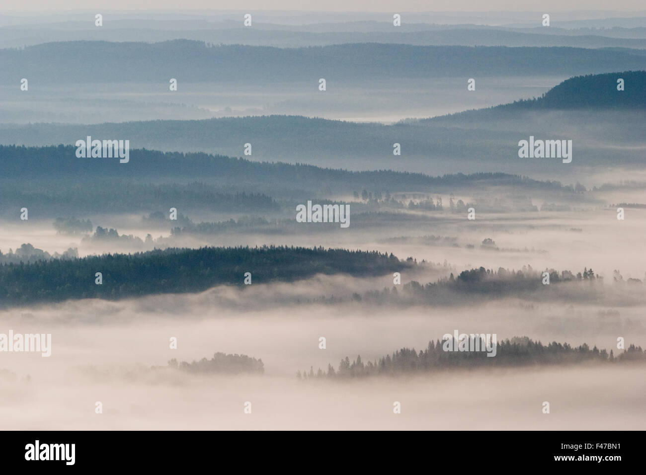 Luftaufnahme von einem nebligen Waldlandschaft, Schweden. Stockfoto