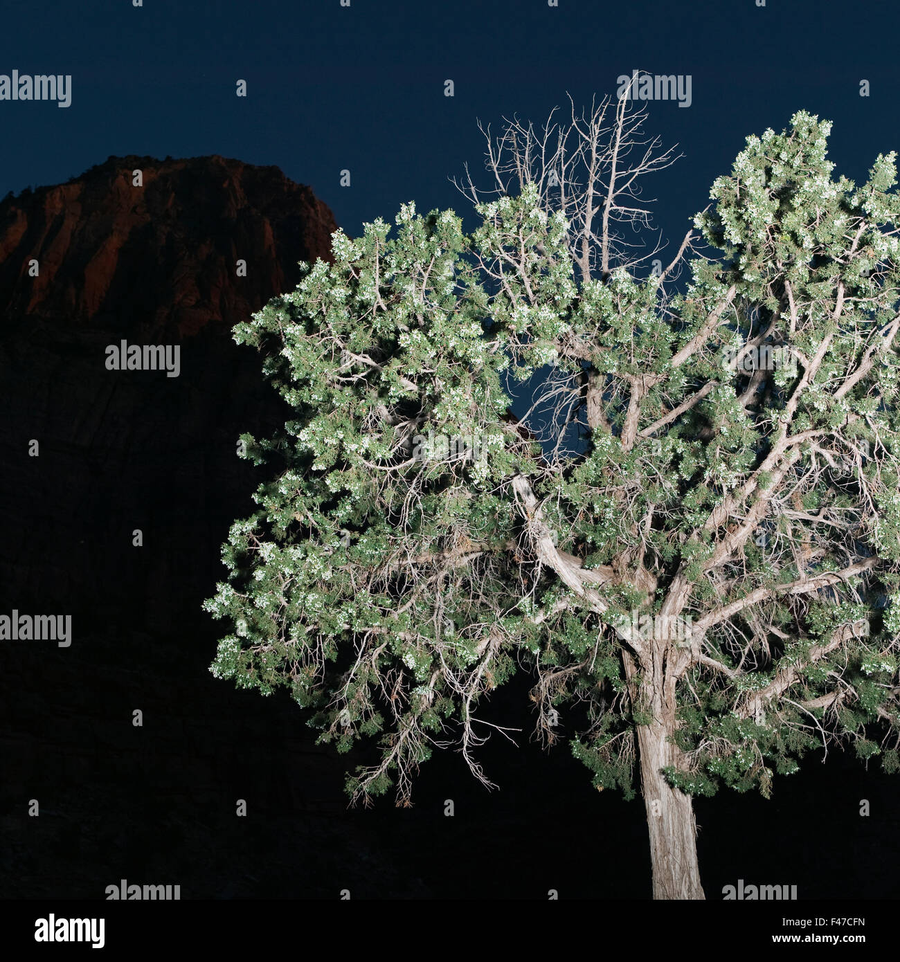 Amerika blau California Farbe Bild Kontrast Dunkel Effekt Abend Abend Himmel grünes Licht Effekt Mountain Nationalpark Stockfoto