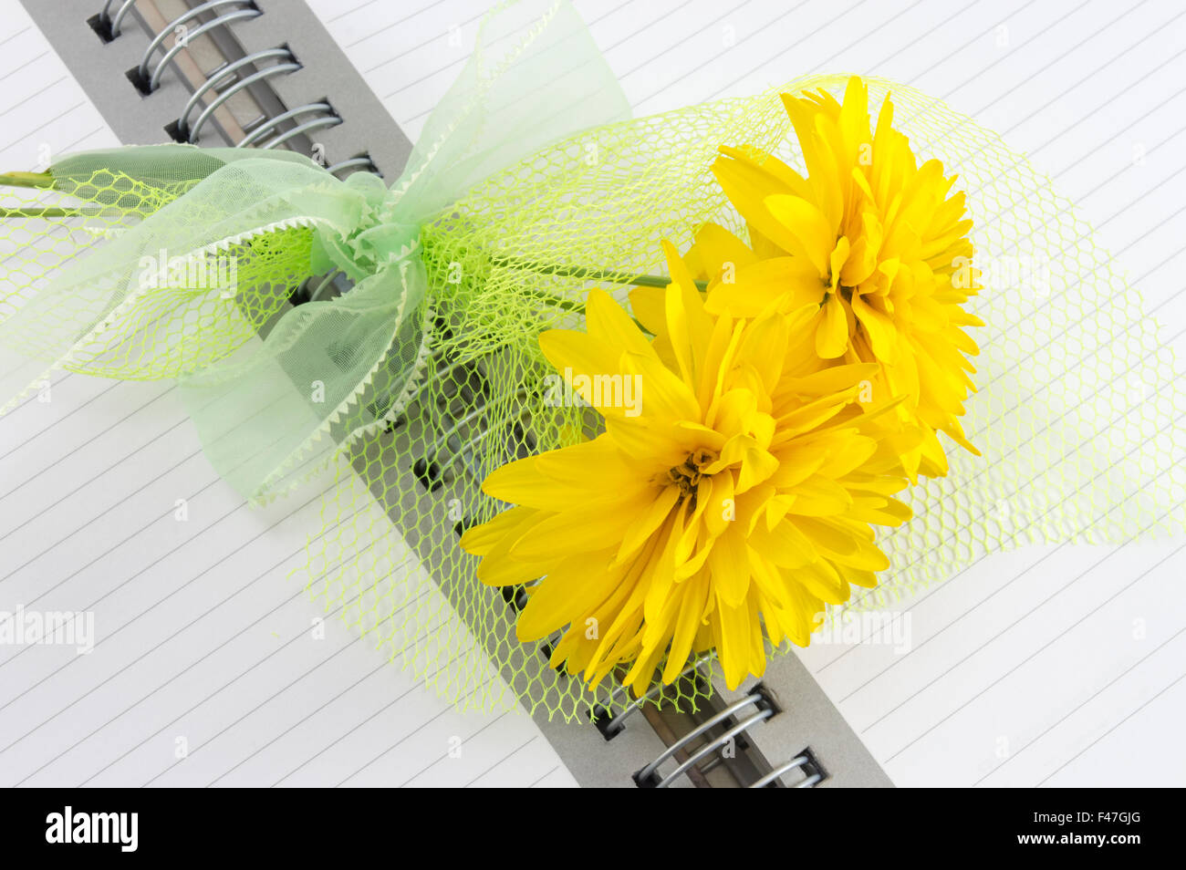 Wunderschöne gelbe Blume auf das Business Notebook suchen Stockfoto