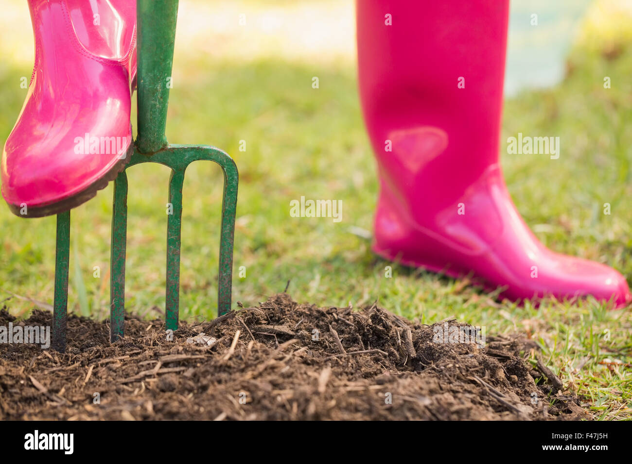 Frau Rosa Gummi Stiefel im Garten arbeiten Stockfoto