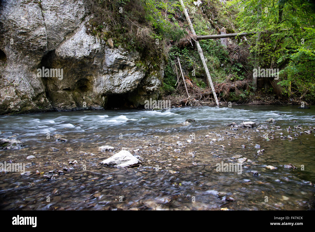 Fluss in Slovenský Raj Stockfoto
