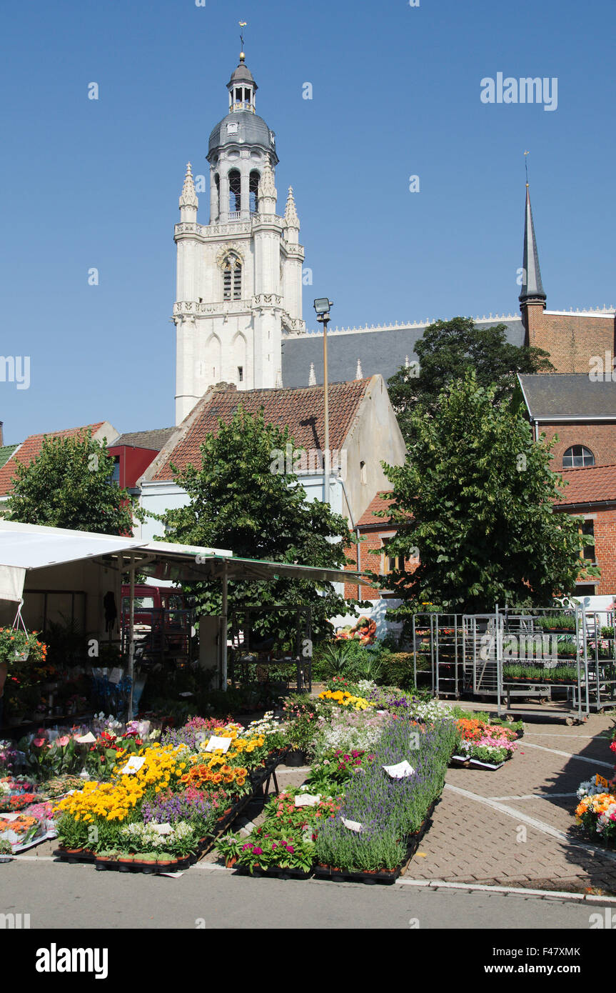 Blumenmarkt vor Basilicus St Martin, Halle, Belgien Stockfoto