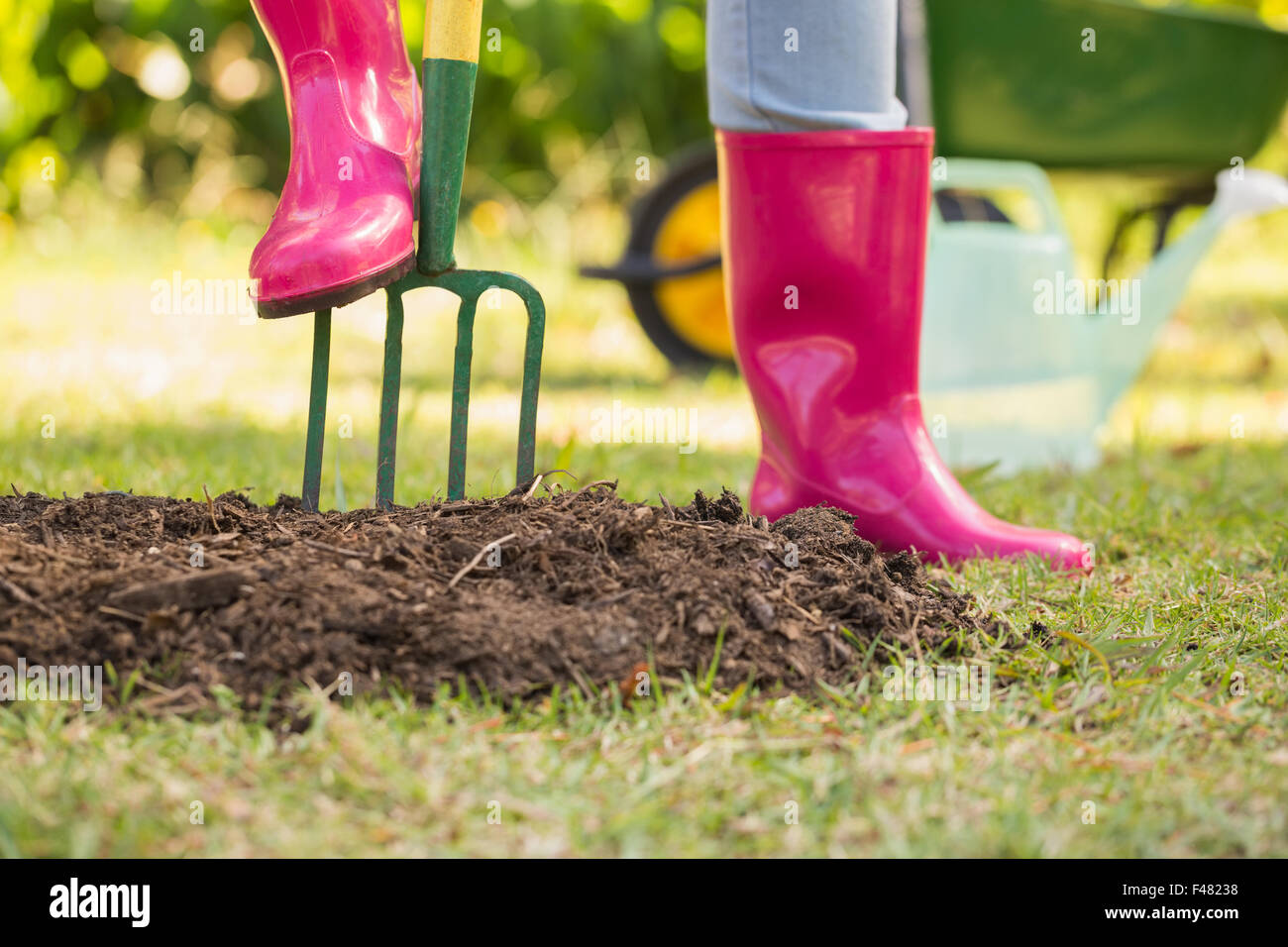 Frau Rosa Gummi Stiefel im Garten arbeiten Stockfoto