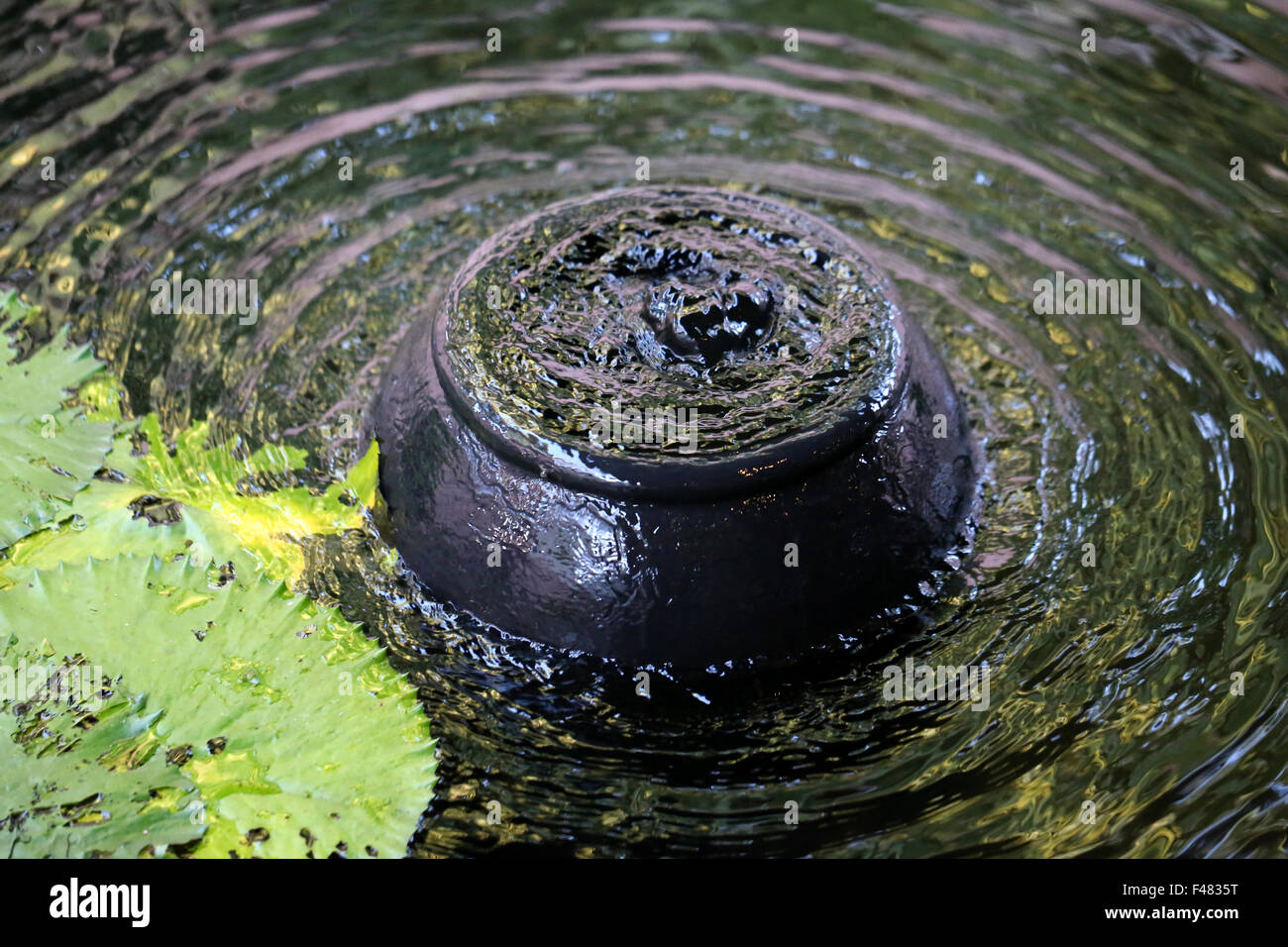 Kleinen schwarzen schönen Brunnen im Teich Stockfotografie Alamy