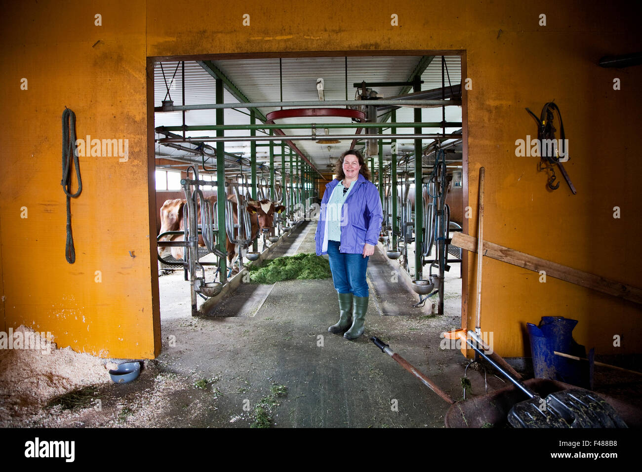 Frau in einer Scheune, Finnland. Stockfoto
