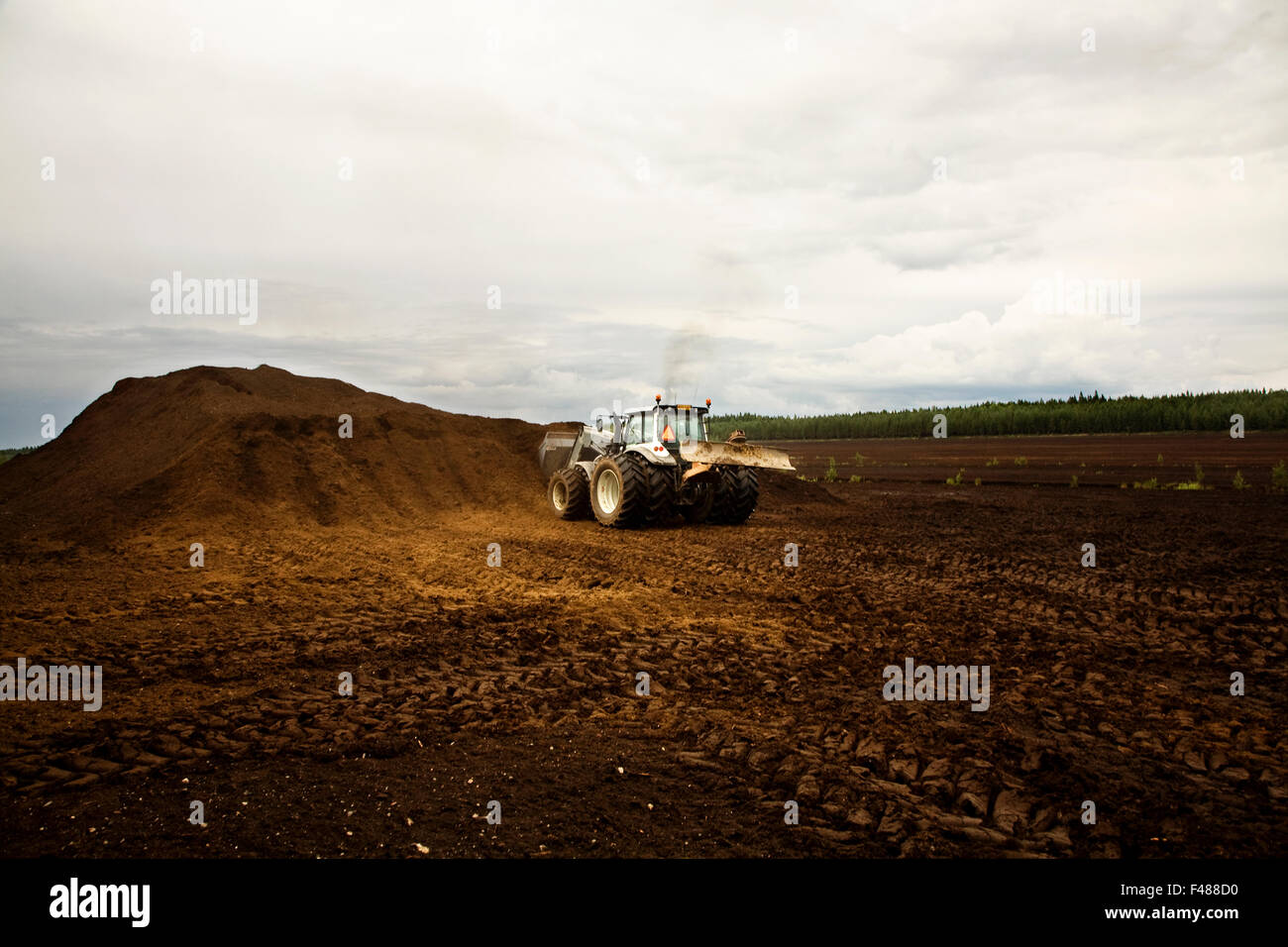 Ein Traktor laden Torf auf einem Feld, Schweden. Stockfoto