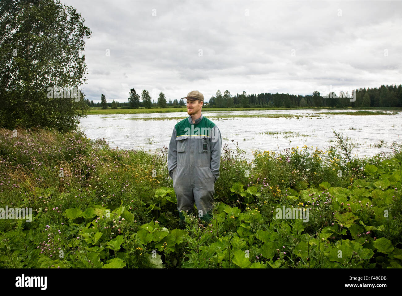 Mann, der an einem See mit Zucht von Fischen, Schweden. Stockfoto