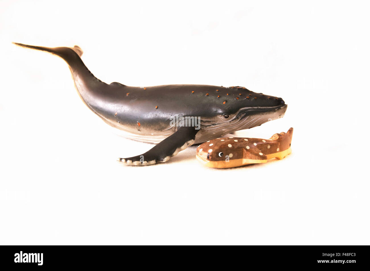 Buckelwal und Walhai Stockfoto