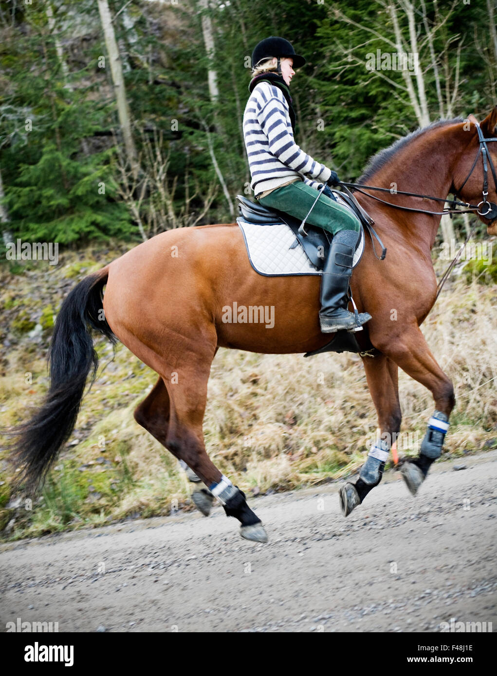 Junge Frau auf einem Pferd, Schweden. Stockfoto