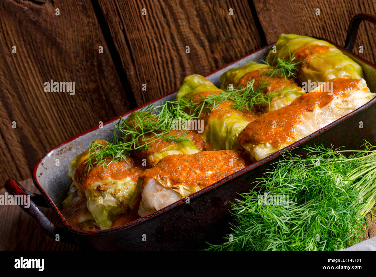 Kohlrouladen, junge Kohl Stockfoto