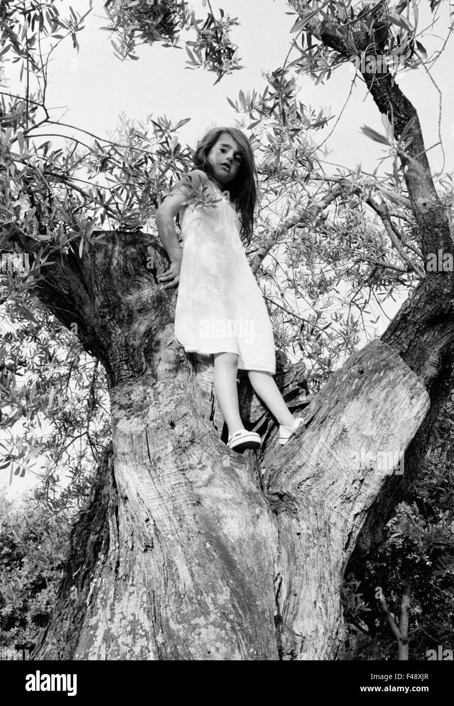 Ein Mädchen in einem Olivenbaum Stockfoto
