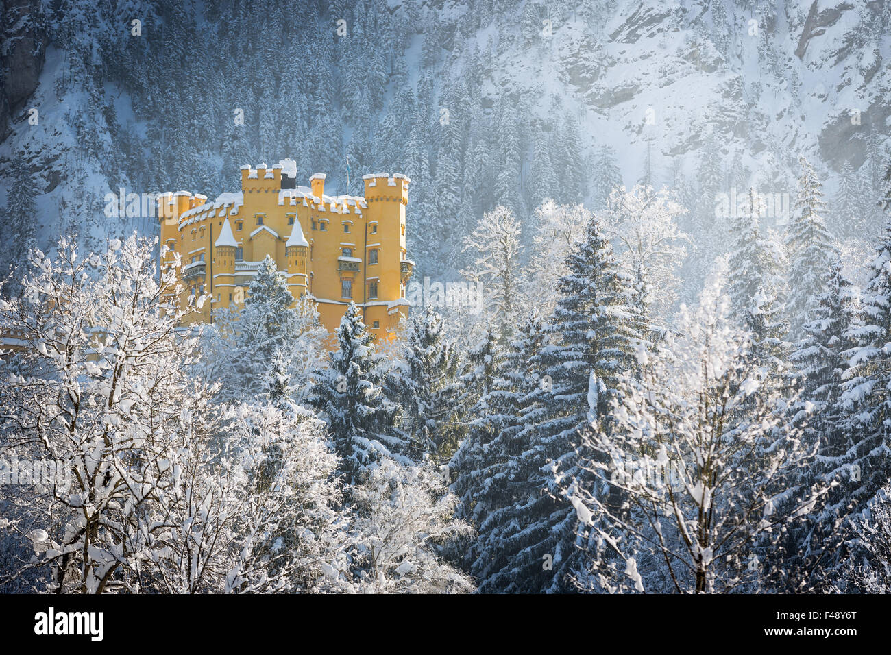Schloss Hohenschwangau in winterlicher Landschaft, Deutschland Stockfoto