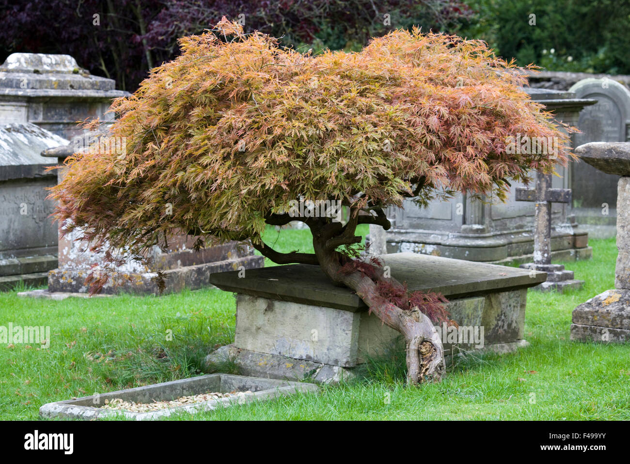 Herbst auf dem Friedhof von der Church Of England Pfarrkirche Saint Mary Stockfoto