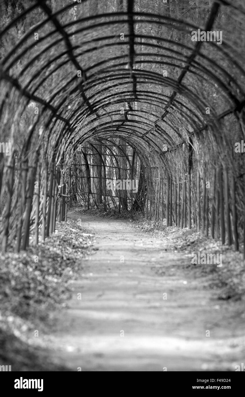 Bogen im park Stockfoto