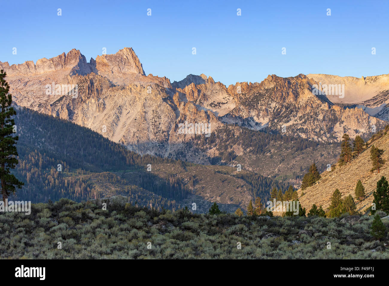 Sierra Nevada Sägezahn Ridge in der Nähe von Bridgeport, CA und Twin Lakes Campingplatz Stockfoto