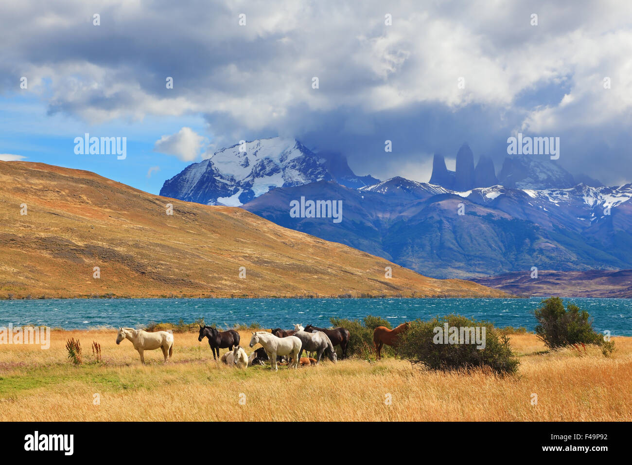 Chilenische See Laguna Azul. Stockfoto