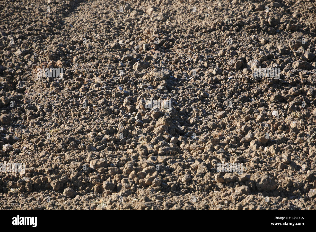 Lehmiger Fotos und Bildmaterial in hoher Auflösung Alamy