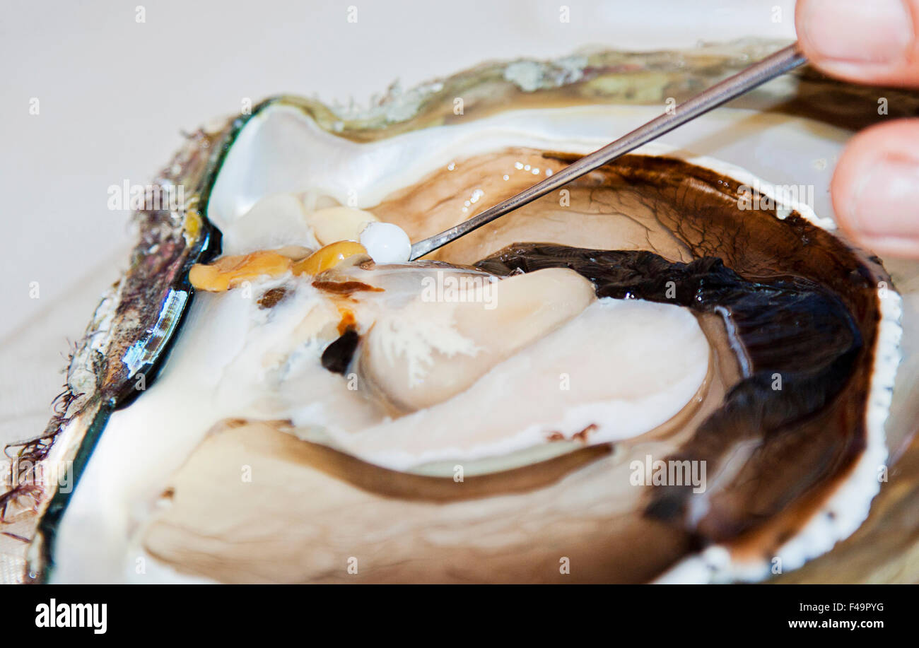 Foto aufgenommen am Friday Island in der Torres-Strait-Inseln auf einer Perlenfarm Stockfoto