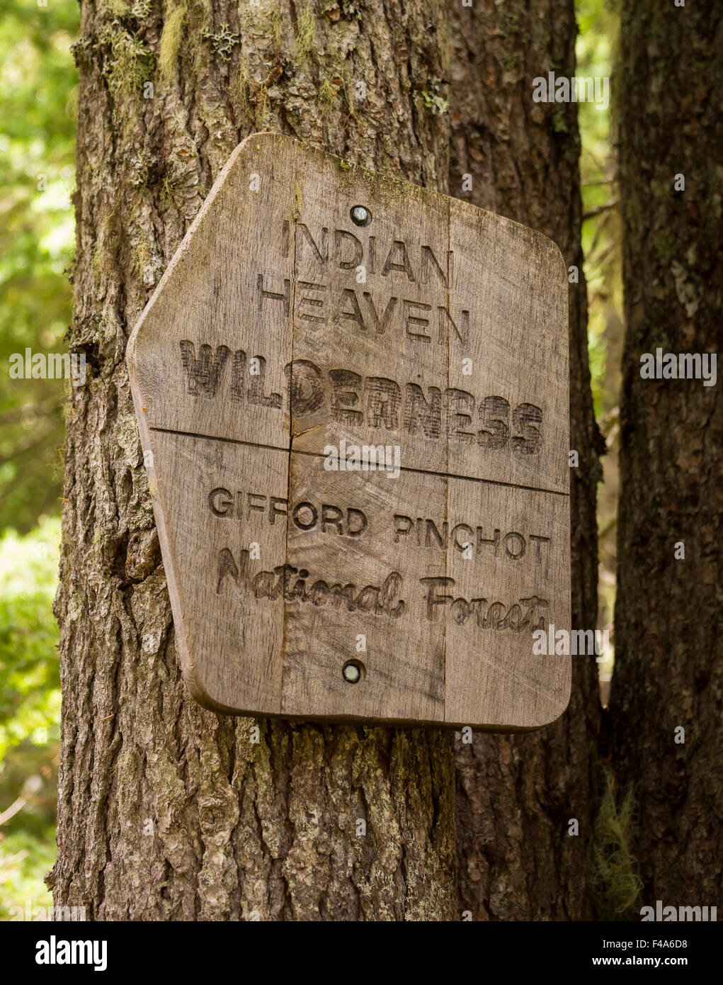 GIFFORD PINCHOT NATIONAL FOREST, WASHINGTON, USA - hölzerne Schild an Baum auf Trail am Trailhead, Indian Heaven Wilderness. Stockfoto