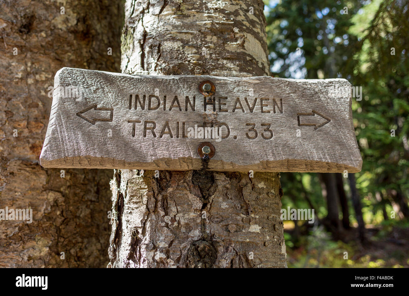 GIFFORD PINCHOT NATIONAL FOREST, WASHINGTON, USA - Trail Schild am Baum im Indian Heaven Wilderness. Stockfoto