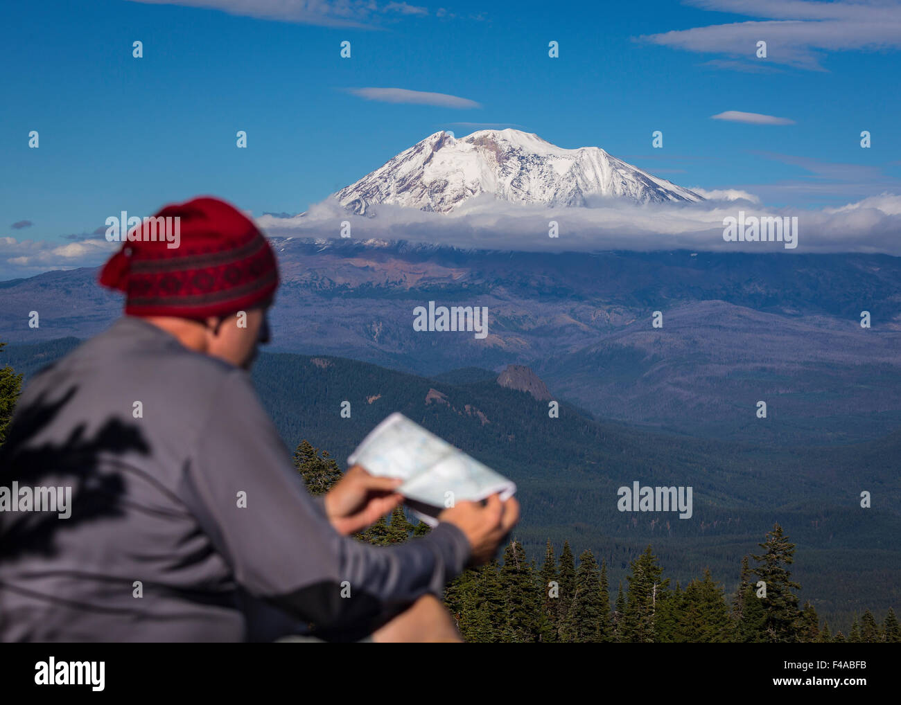 GIFFORD PINCHOT NATIONAL FOREST, WASHINGTON, USA - Mann mit Karte, Mount Adams, 12.281 Füße vergletscherte Berg in der Kaskadenkette Stockfoto