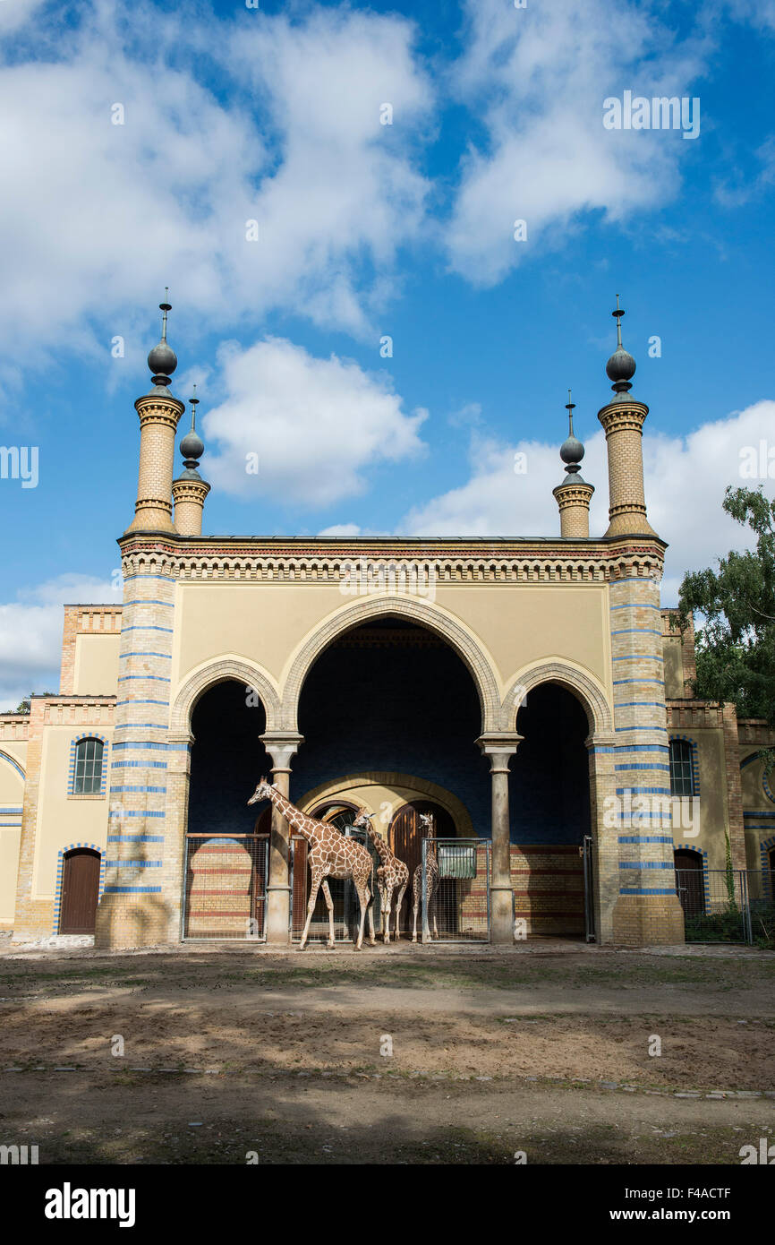 Deutschland, Berlin, Zoo Stockfoto