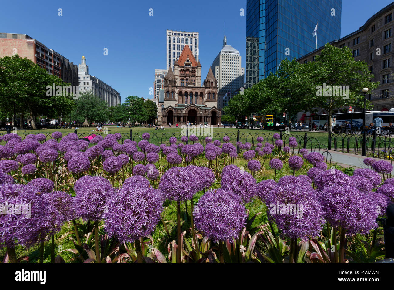 Die Trinity Church im Copley Square in Boston über riesige Allium Blumenbeet Stockfoto