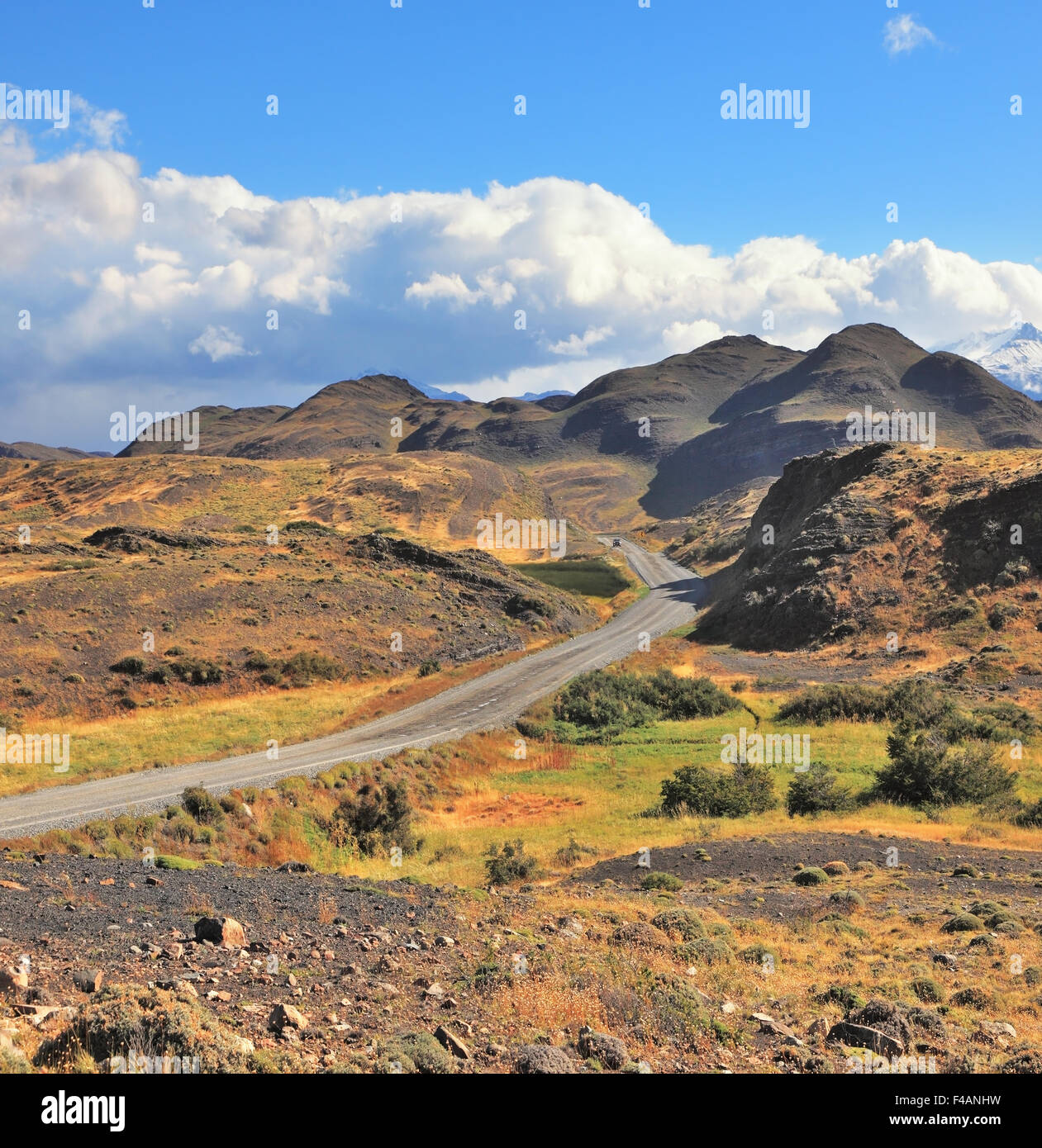 Sommer im Nationalpark Torres del Paine Stockfoto