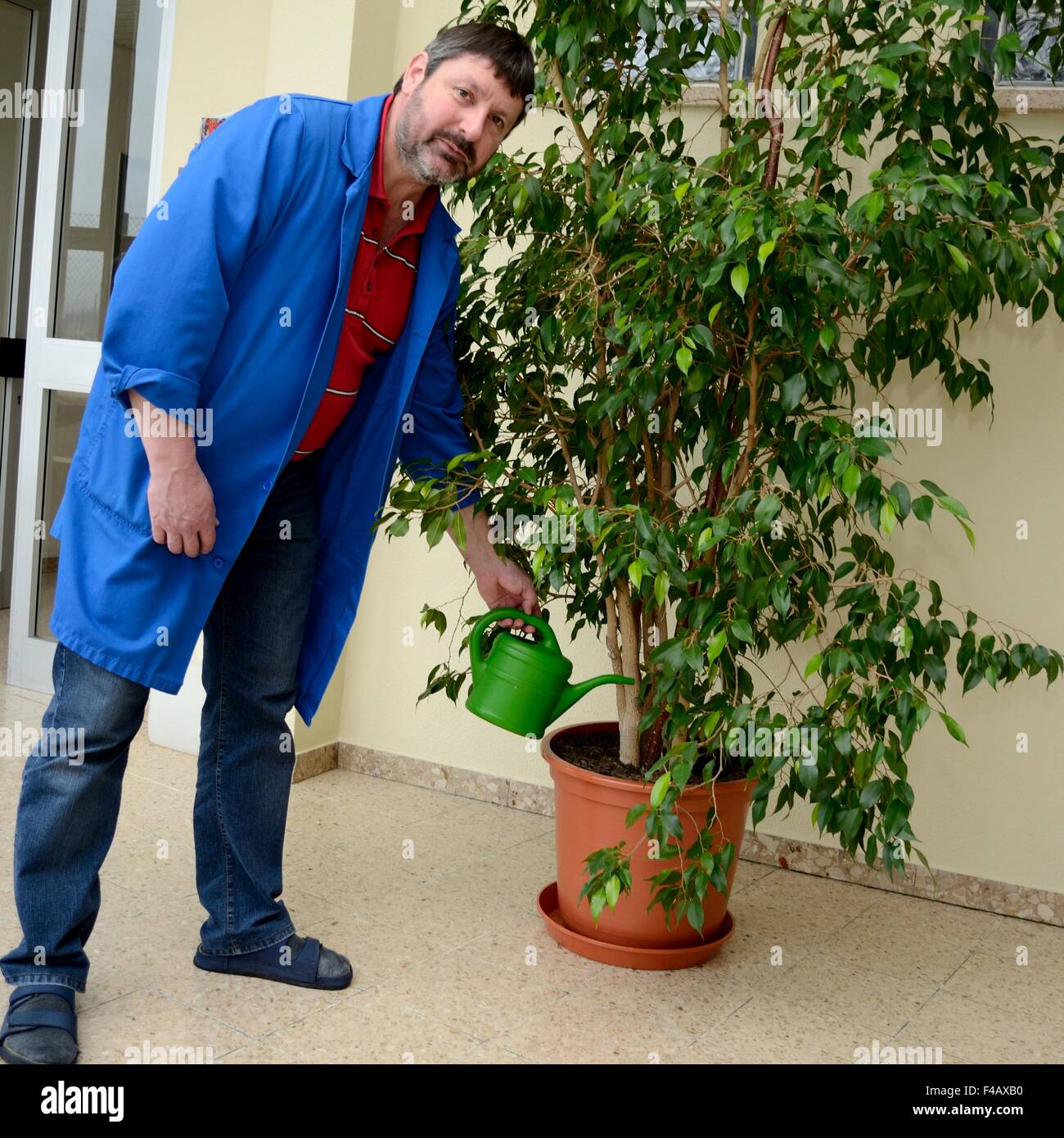 Schule Hausmeister gießt Pflanzen Stockfoto