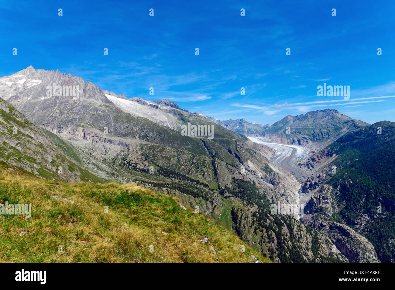 Schöne Landschaft mit dem Aletsch glaciar Stockfoto
