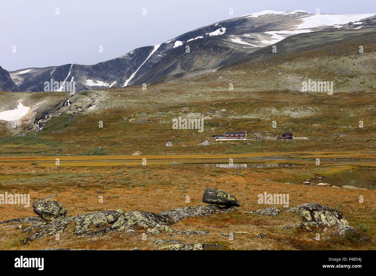 Glittertind, Glitterheim, Jotunheimen, Norwegen Stockfoto