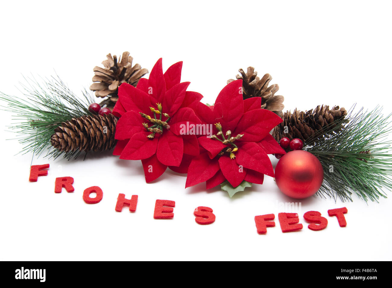 Weihnachtsstern und froh Feier Stockfoto