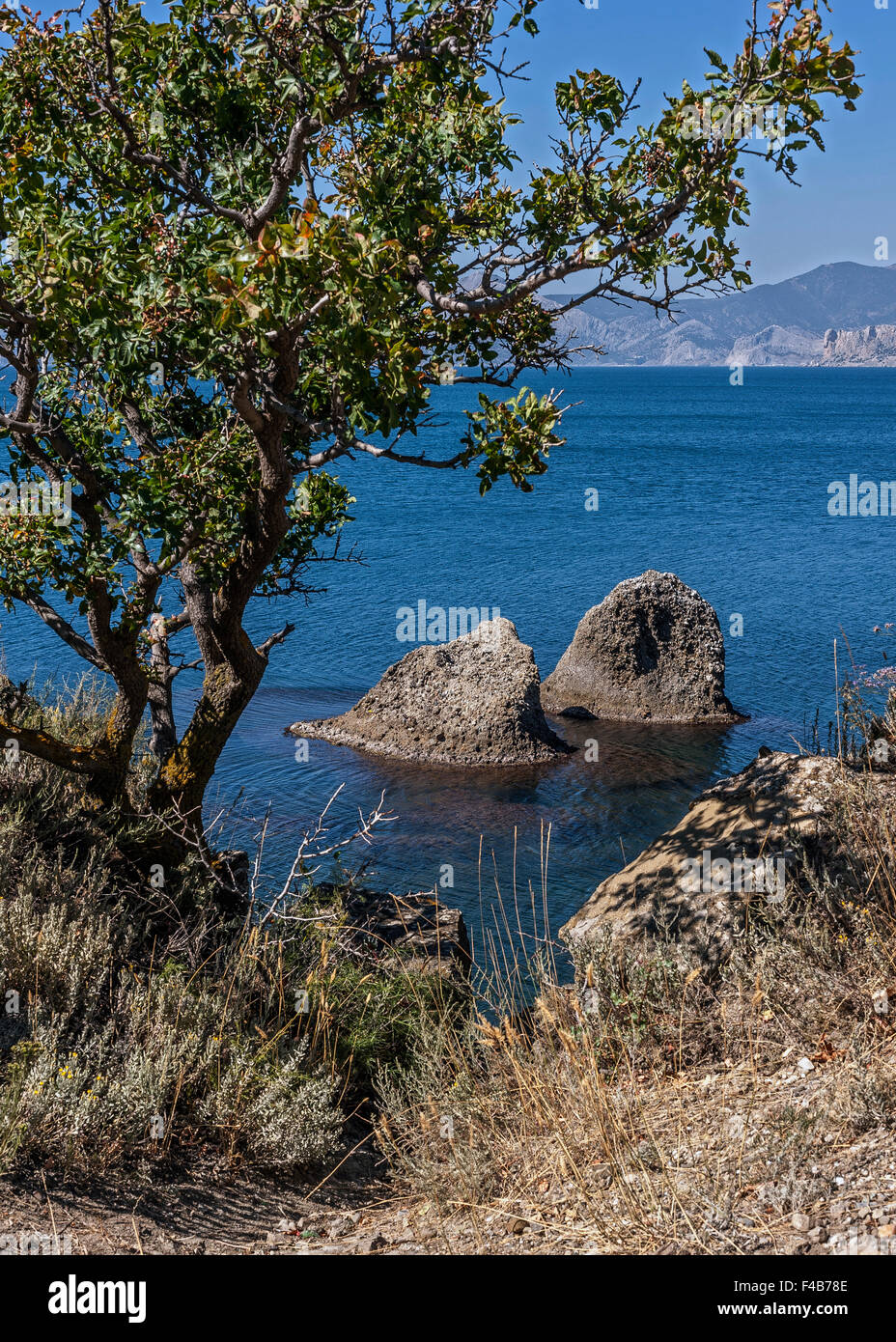 Die Halbinsel Krim, Russland. Nachbarschaften Stadt Sudak. Die nackte Schönheit der wilden Strände von Kap Meganom. Stockfoto