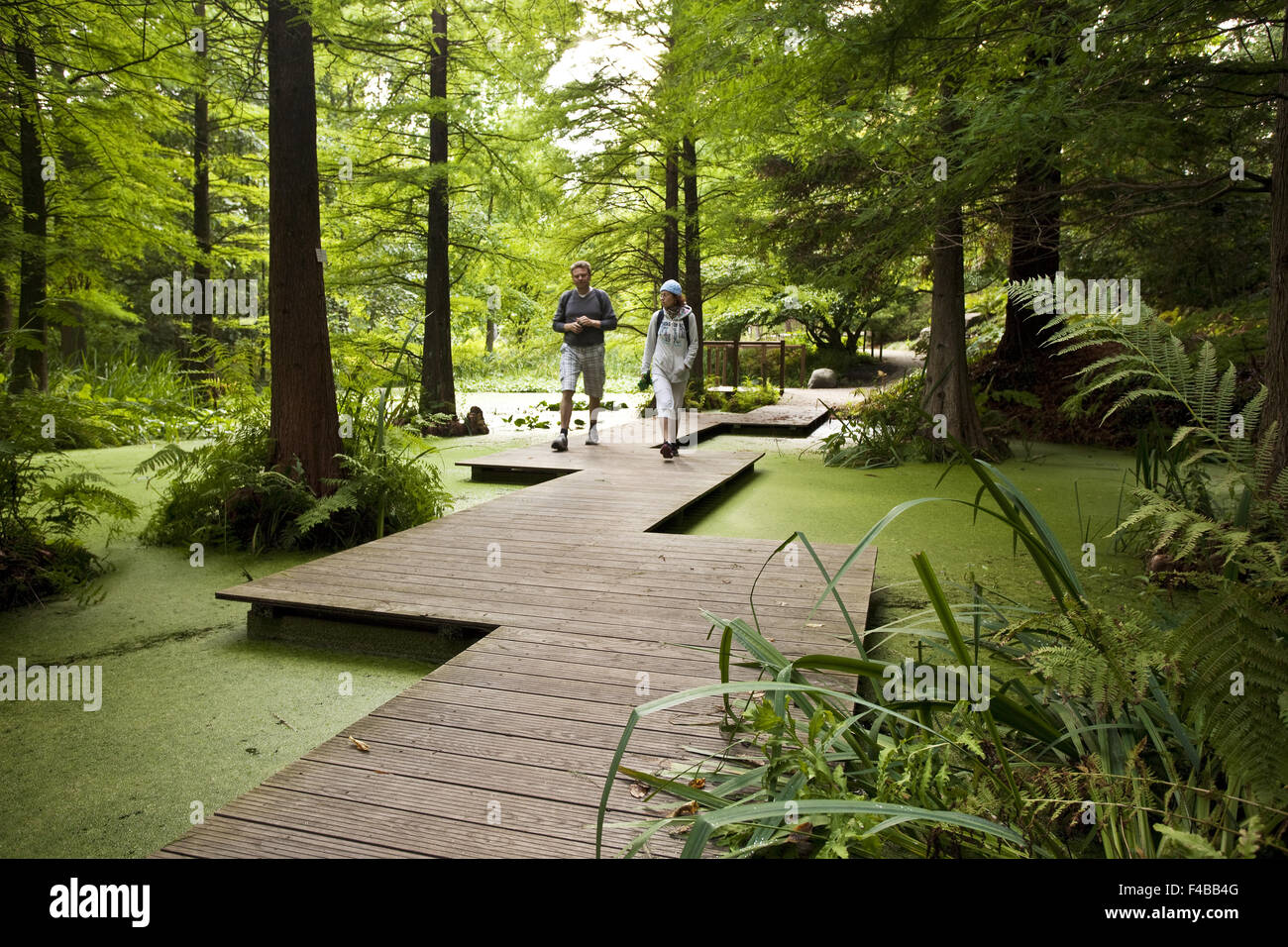 Botanischer Garten, Ruhr-Universität Bochum. Stockfoto