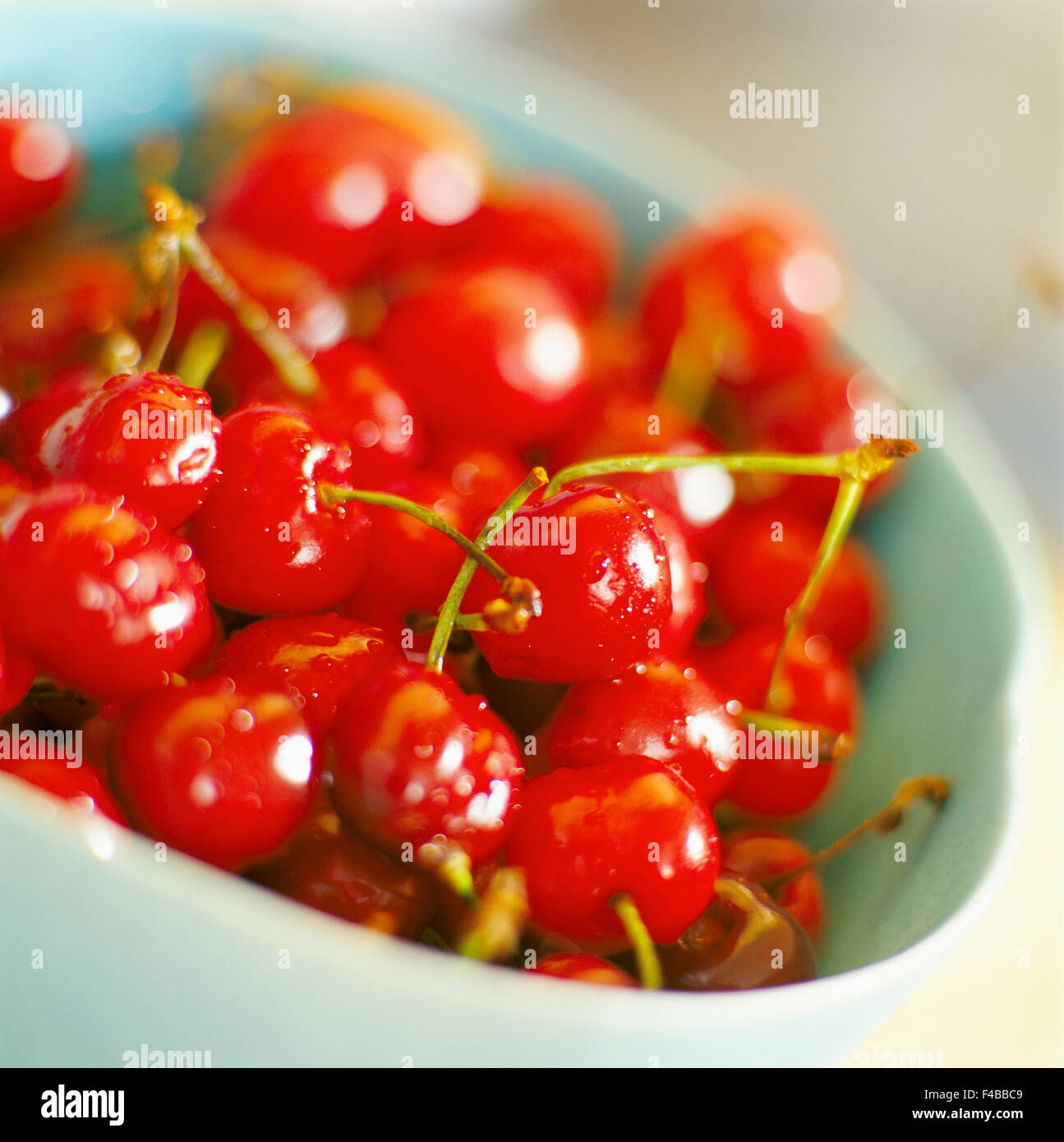 Berry Bowl Katalog 2 Nahaufnahme Kirschrot Bild Detail Obst Obst und Gemüse rotes Quadrat schwedischen Katalog 3 Stockfoto