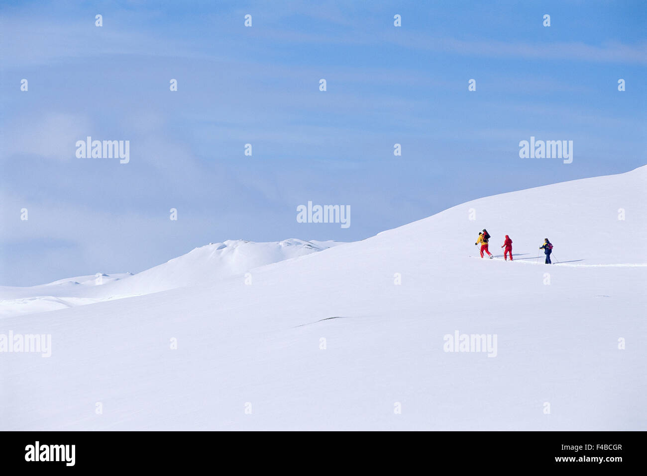 Aktivität Erwachsene Farbe nur Langlauf Ski horizontalen Landschaft Lappland Freizeit Lifestyle Mann Natur Leben im freien Stockfoto