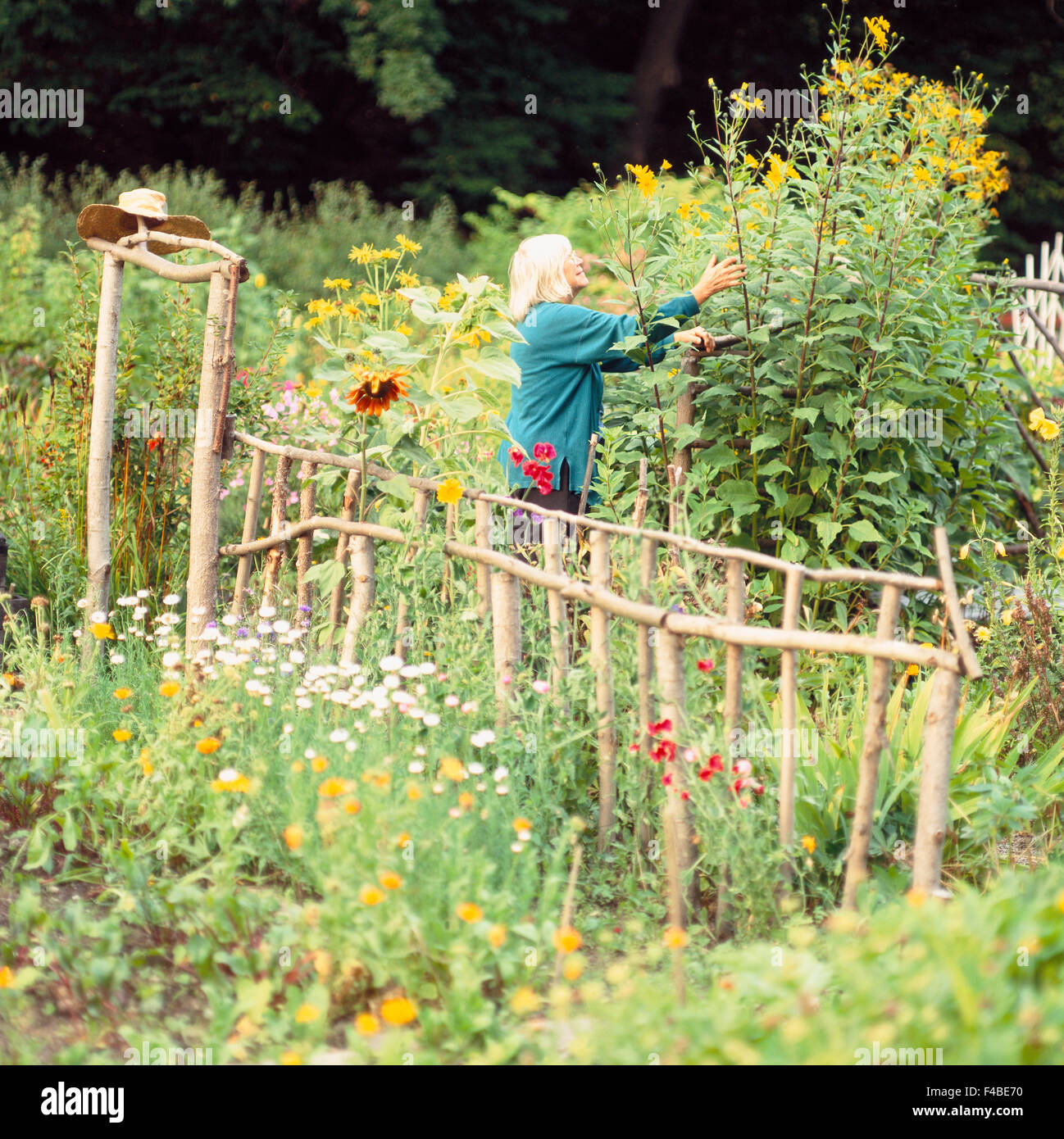 4549 Jahre Erwachsene nur Schrebergarten Häuschen Farbe Bild Zaun