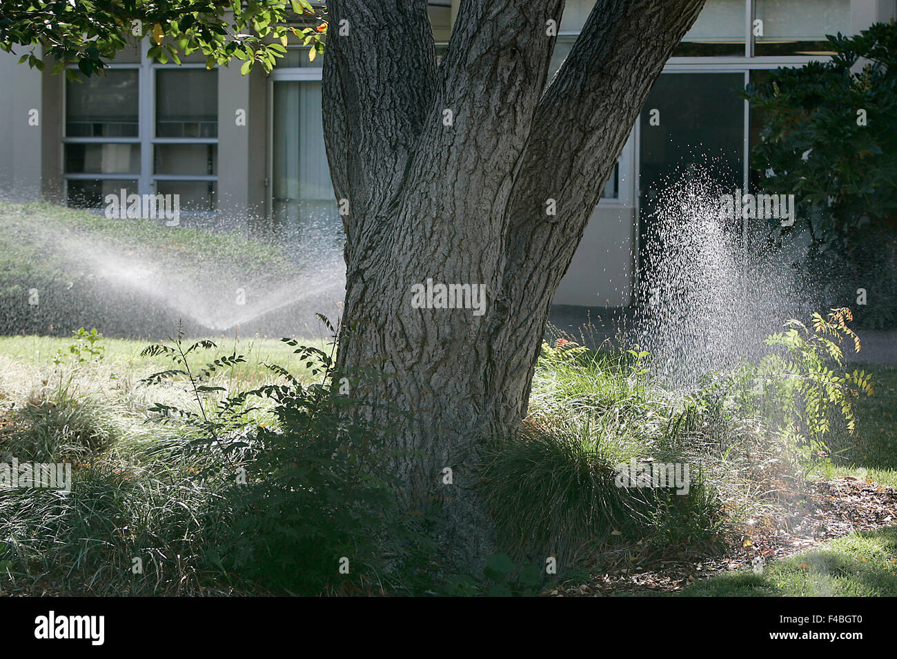 Napa, Kalifornien, USA. 7. Oktober 2015. Wasser zur Bewässerung von Kondensation auf dem OP-Gebäude an der Queen Valley Medical Center Wasser Brunnen Hof vor kurzem gesammelt. QVMC Gelände Vorarbeiter Ardy Van Winden vor kurzem entwickelt ein System zur Erfassung und Speicherung von Wasser aus der Kühlgeräte auf der chirurgischen Flügel. Er schätzt, dass er ungefähr 40.000 Gallonen Wasser pro Jahr sparen. © Napa Valley Register/ZUMA Draht/Alamy Live-Nachrichten Stockfoto